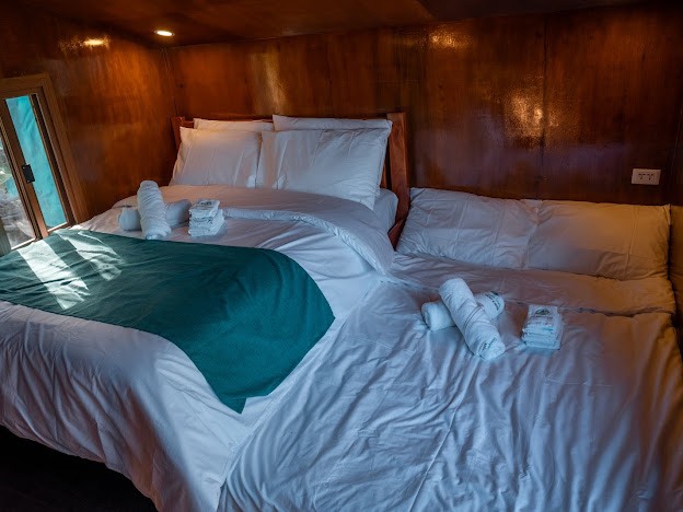 431517044_1179251300118358_5939555246677892734_n