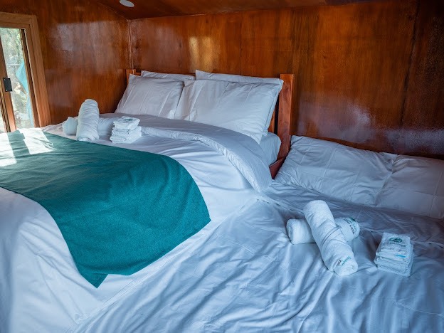 432333626_1451699168887884_4806206679447758615_n